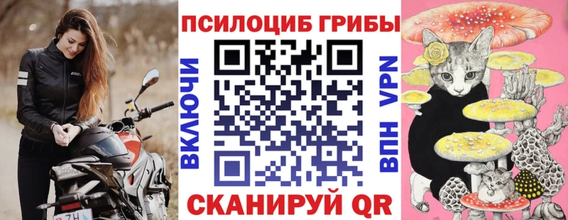 кракен онион  Коряжма  Псилоцибиновые грибы мухоморы 